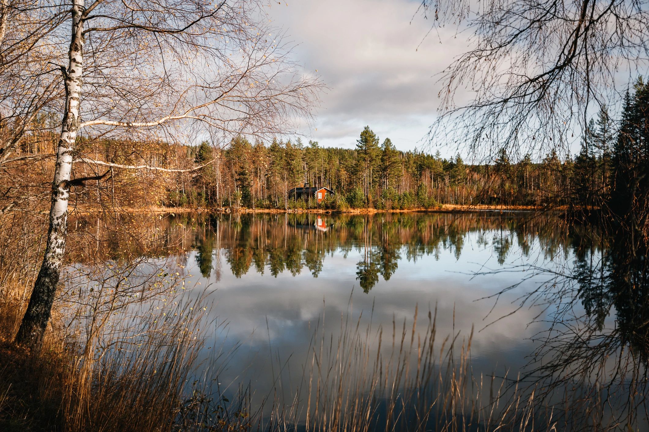 Still forest lake with a small cabin reflected in calm water