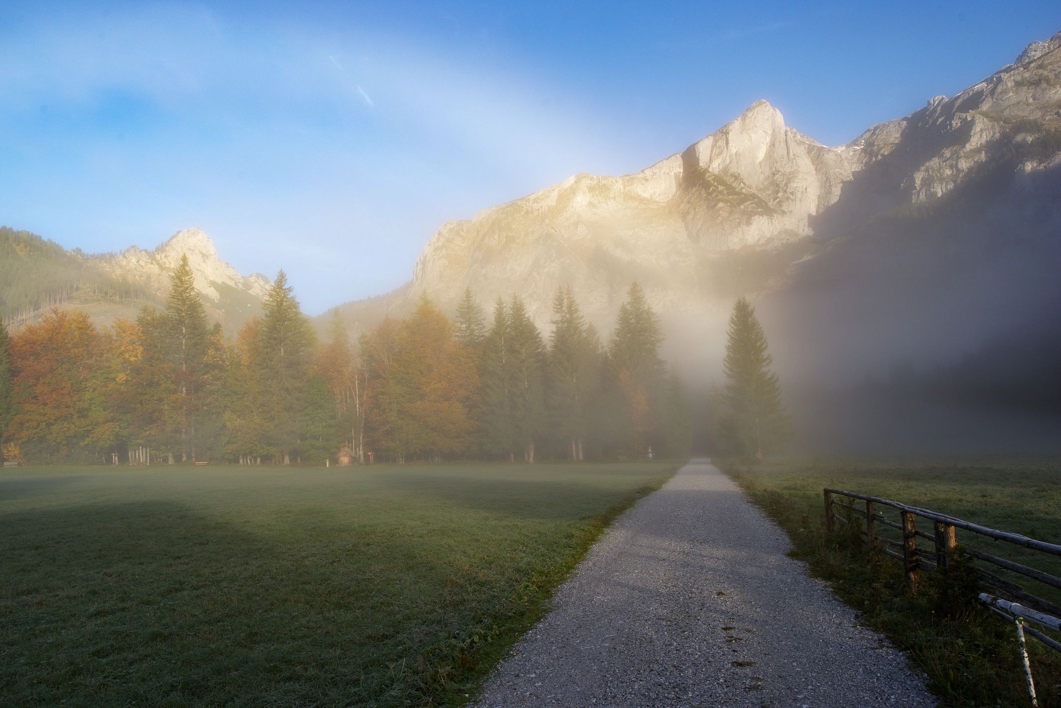 Misty mountain path winding through autumn forest at sunrise